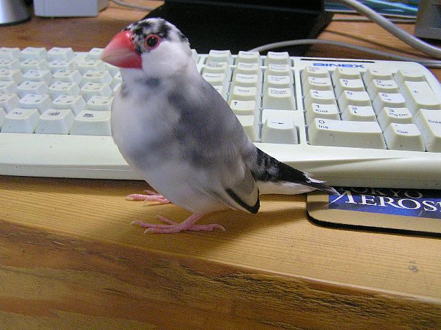 「ぐるめ？？」