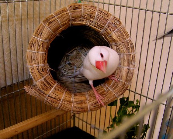 「これが何だったのか、イマイチ思い出せないのよね」