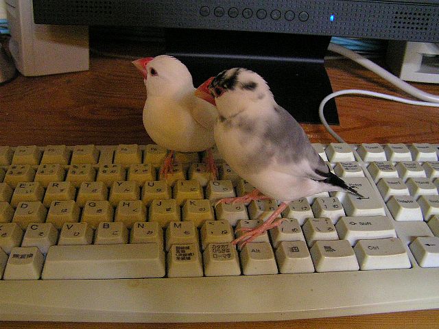 「・・・まさか食べちゃったとか？？」「しらないわよッ！！」