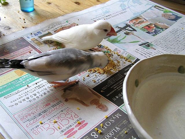 「お願いですから」「いやッ！」