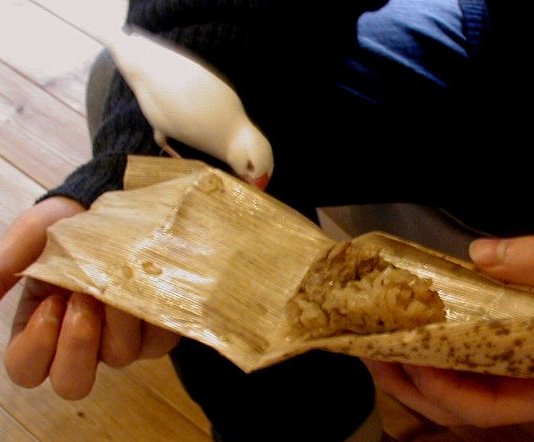 「人間なんかが食べるのはもったいないのよ」