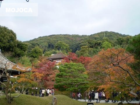 高台寺の紅葉