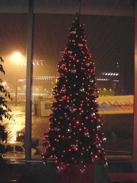 スキポール空港2004_12_22ツリー２