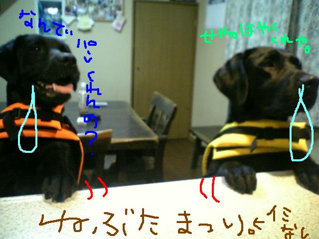 意味無しコメントばっか（笑）
