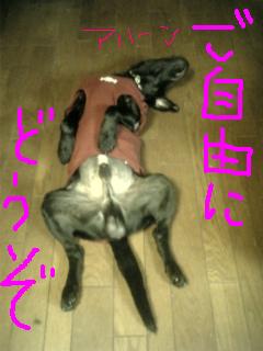 フリーですね。（笑）
