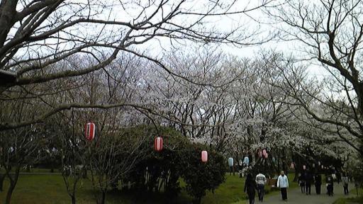 佐倉城址公園