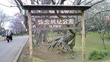 佐倉城址公園