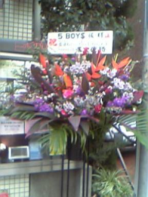 5boys（仮）花２