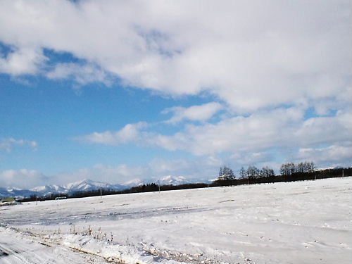 2009-1北海道雪景色１