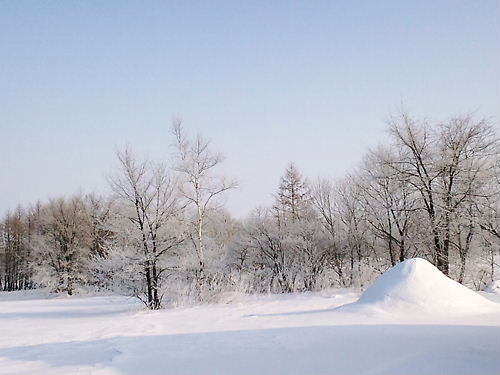 2009-1北海道雪景色２