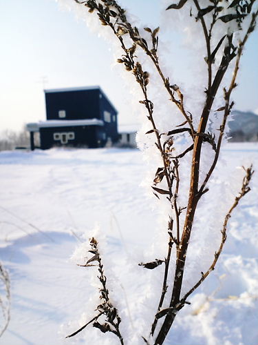 2009-1北海道雪景色３