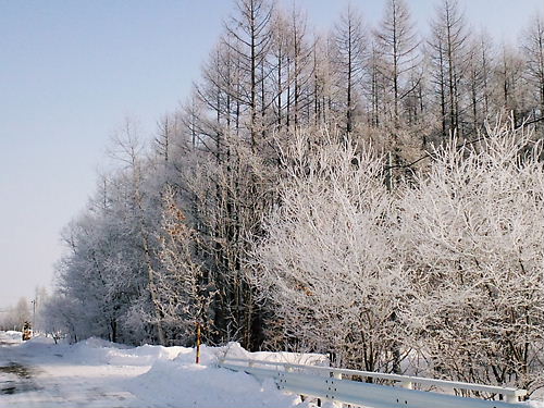 200-1北海道雪景色６