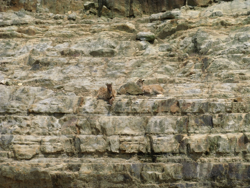 201005GW紀伊半島家族1 (118).jpg