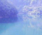 十津川の熊野川