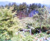 高野龍神スカイライン景色2