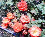 愛知県下水道科学館2