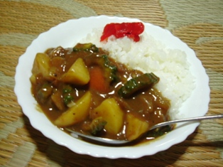 ゴーヤカレー