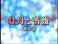 □ [TV番組] 牡丹と薔薇＠４５話～４６話 | majuにKoiする5秒前 - 楽天 