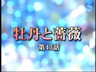 Tv番組 牡丹と薔薇 ４３話 ４４話 そういう体だから
