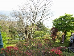 芦ノ湖を望む