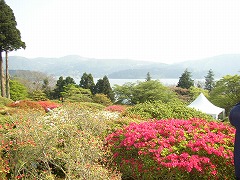 芦ノ湖をのぞむ20070509