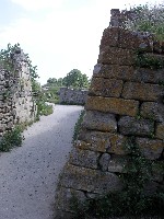 troy1