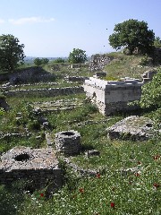 troy4