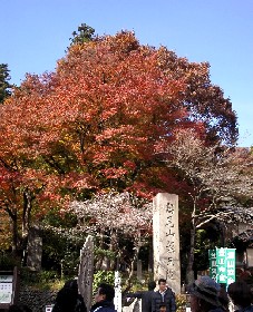 takaosan