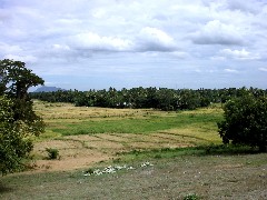polonnaruwagreen