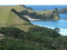 Great Barrier Island 3