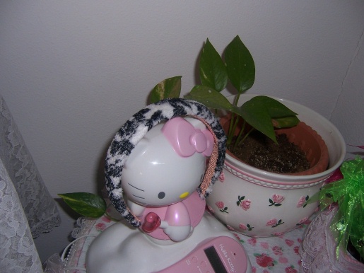 asuka--1 736 (2).jpg