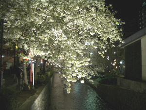 木屋町.JPG