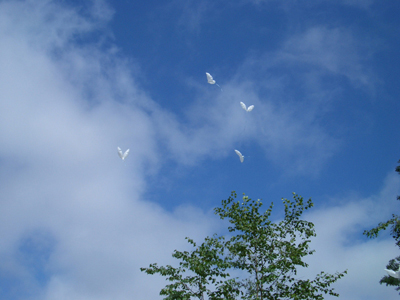 空（バルーン）