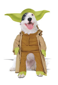 Yoda Dog.jpg