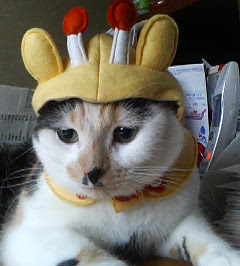 にゃー子ちゃん♪