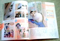 にゃー子ちゃんのほんわかページ♪