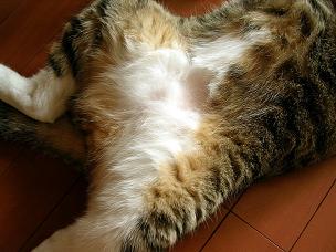 やっぱり…