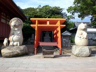 たぬきのご夫妻お子様連れ