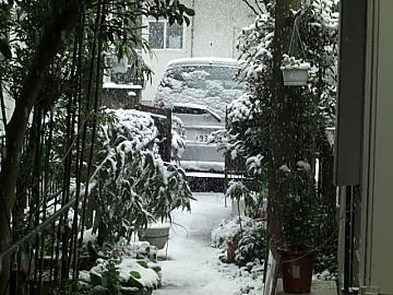 雪