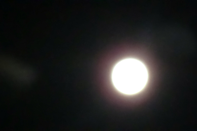 満月の夜　２.jpg