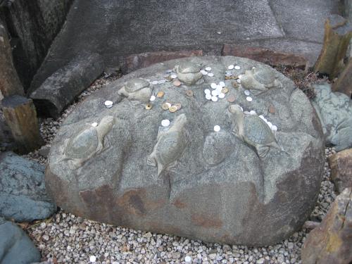 カメの石