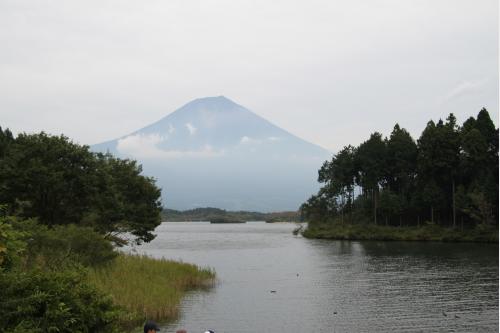 富士と田貫湖
