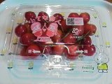 さくらんぼ2007（A店）