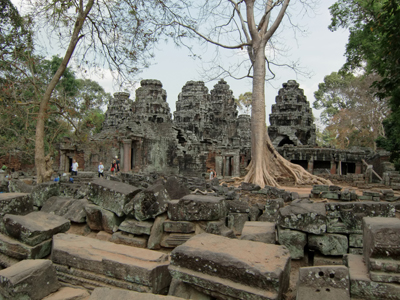 banyan tree、Banteay Kdei,Siem Reap,Cambodia,2-17-2-6