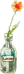 ボトルフラワー