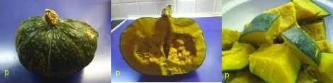 kabocha