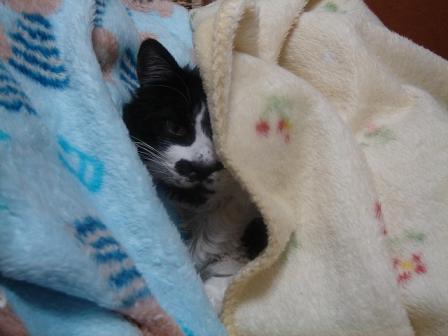 06.4.23 miya 002.jpg