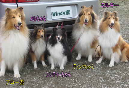 windy家とミルキー