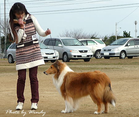 2009茨城展春期ミルキー