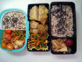 お弁当♪2007/05/02